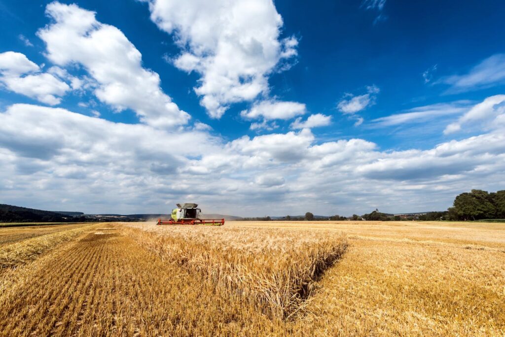 pexels photo 17468843 A combine harvester working on a vast wheat field under a bright blue sky.
